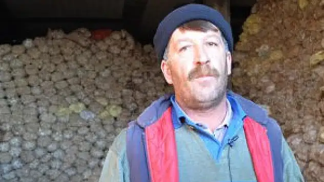 Terör yüzünden tonlarca patates depoda