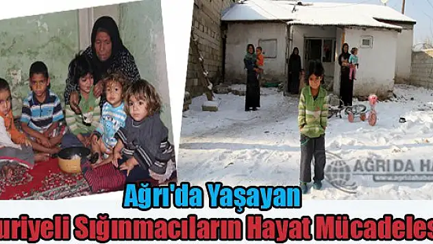 Ağrı'da Yaşayan Suriyeli Sığınmacıların Hayat Mücadelesi