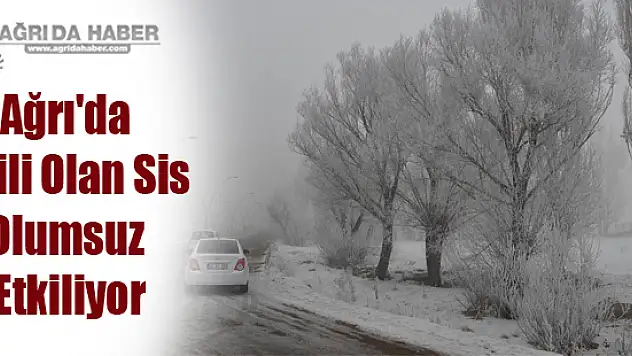 Ağrı'da Etkili Olan Sis Olumsuz Etkiliyor