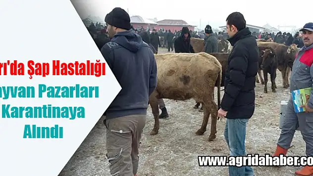 Ağrı'da Yayılan Şap Hastalığın'dan Dolayı Hayvan Pazarları Karantinaya Alındı