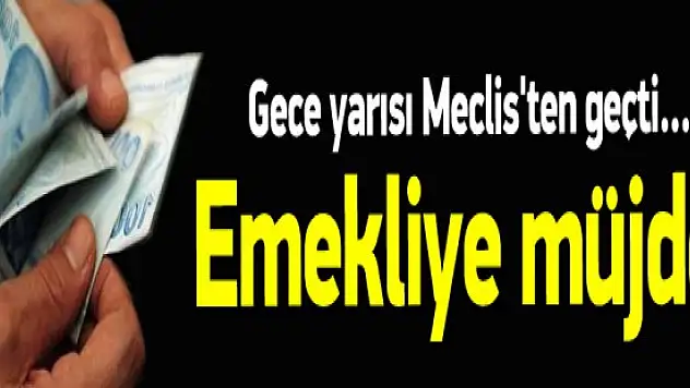 Emeklilere 100 TL'lik zam tasarısı kabul edildi ! Ayrıntılar ?
