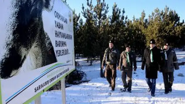 Kars'ta yaban hayatı için doğaya yem