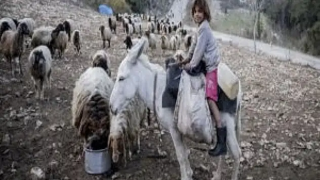 Türkmenler ve Araplar Türkiye'ye geliyor