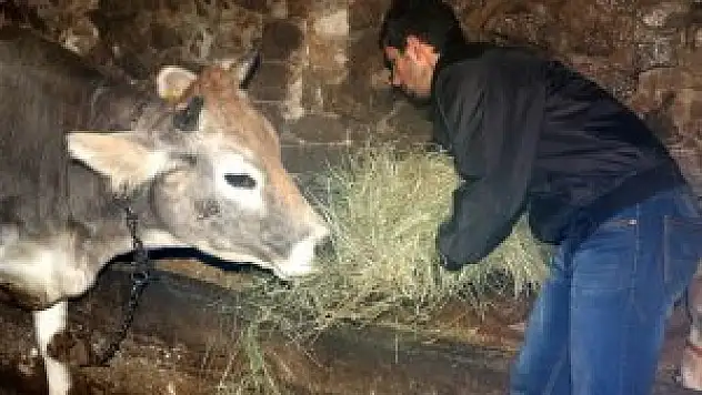 Sondakika Erzurum'da Çoban Buz Pistinde Kral