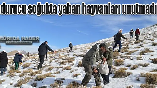 Dondurucu soğukta yaban hayvanları unutmadılar