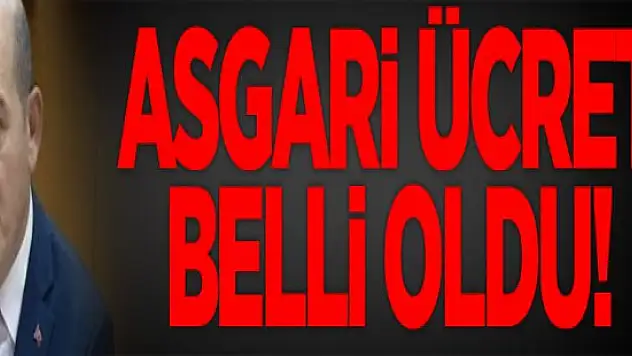 Bakan Soylu asgari ücreti açıkladı
