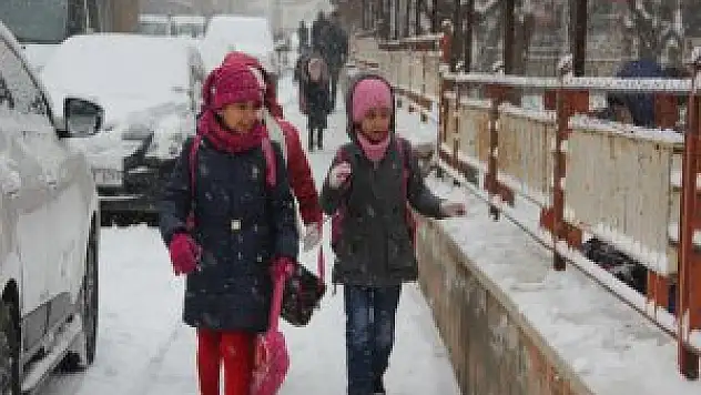 Bingöl'de Kar Yağışı çocukları sevindirdi