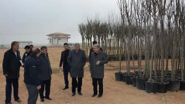 Belediyesince Fidanlık Oluşturuldu