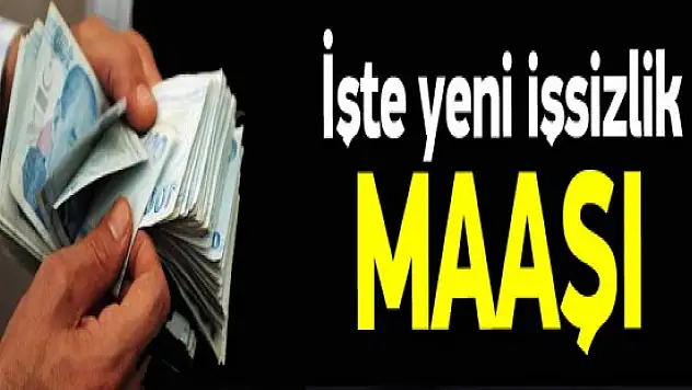 Asgari ücret sonrası işte yeni işsizlik maaşı belli oldu !