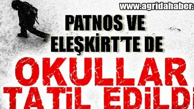 Patnos ve Eleşkirt İlçelerine'de Yoğun Kar Yağışı Nedeni ile Okullar Tatil Edildi