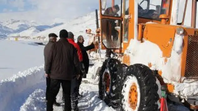 Van'da Karla Mücadele Çalışmaları