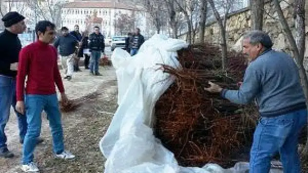 Keban'da Bin 500 Aşılı Badem Fidanı Dağıtıldı