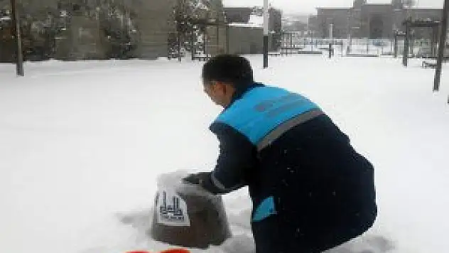 Erzurum'da Yaban Hayvanları Unutulmadı