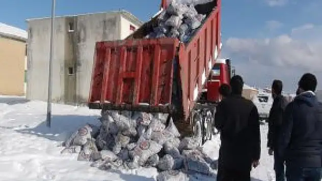Bitlis'de 2 Bin 566 Aileye Kömür verildi