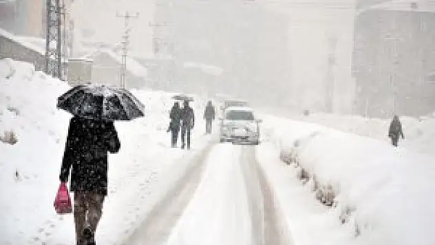 hakkari'da Kar Yağışı Hayatı Olumsuz etkiledi