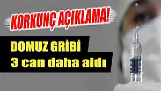 Domuz Gribinden Dolayı Ölenlerin sayısı 3'e yükseldi !