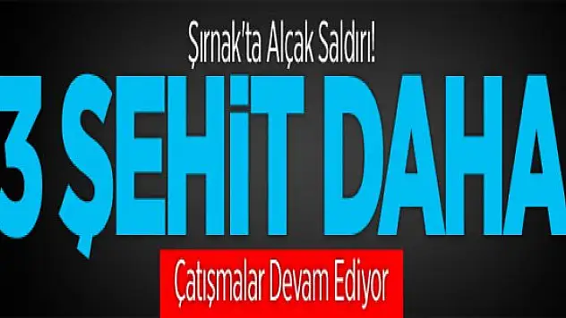 Şırnak'ta Hain Saldırı ! 3 Şehit Var