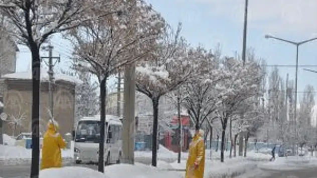 Muş'da ağaç temizleme çalışması