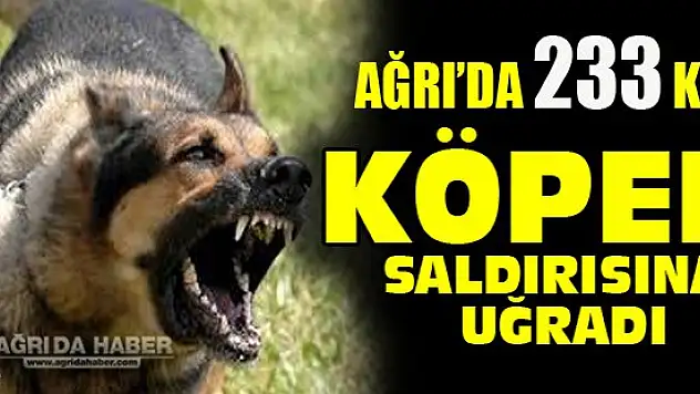 Ağrı'da 233 Kişi Köpek Saldırısına Uğradı