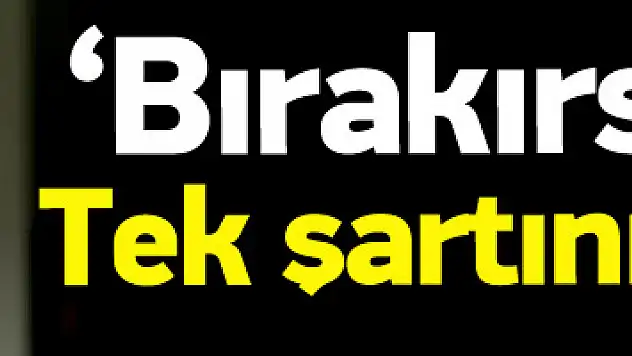 Çözüm süreci bitti mi? Davutoğlu açıkladı