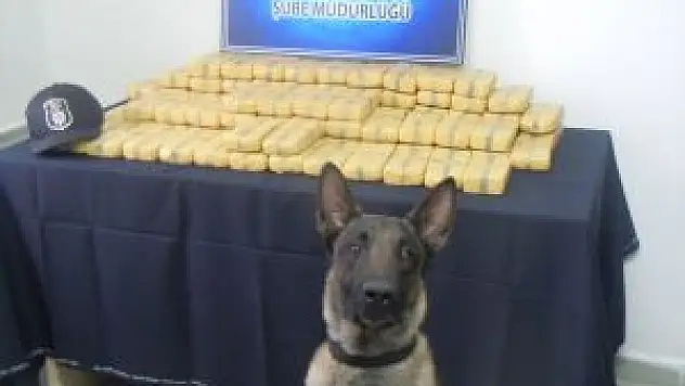 Malatya'da 45 Kilogram Eroin bulundu