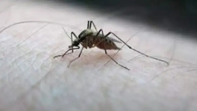 Amerika Kıtası İçin 'Zika virüsü' Uyarısı dikkat !