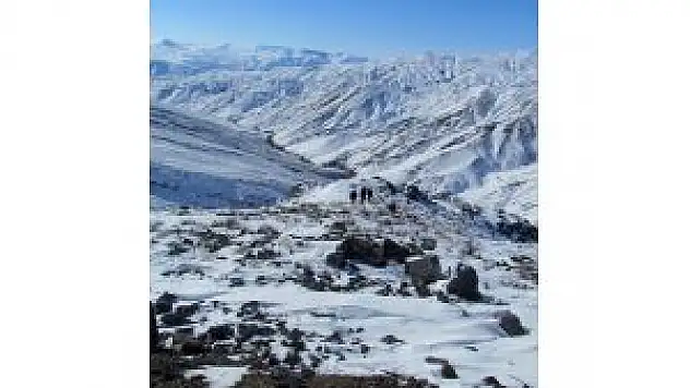 Kuşlar İçin Doğaya Yem Bırakıldı