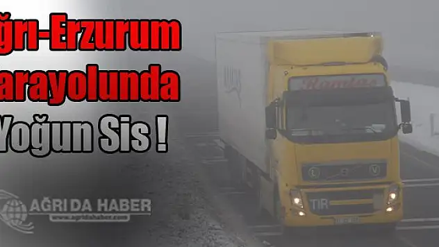 Ağrı-Erzurum Karayolunda Yoğun Sis