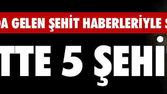 Diyarbakır'da Acı Üstüne Acı: 5 Şehid