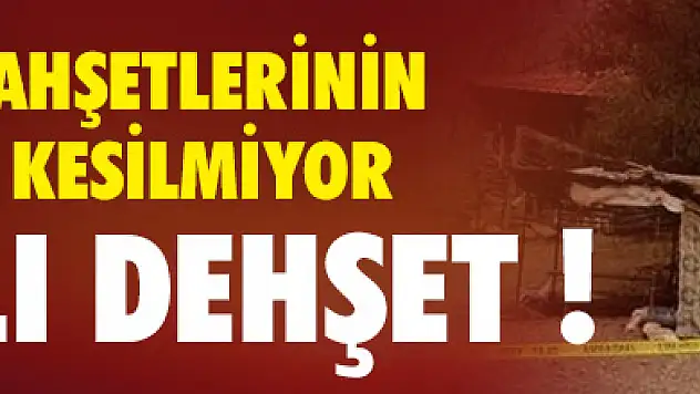 Psikolojik sorunu olan kadın 9 aylık bebeğini baltayla öldürdü !