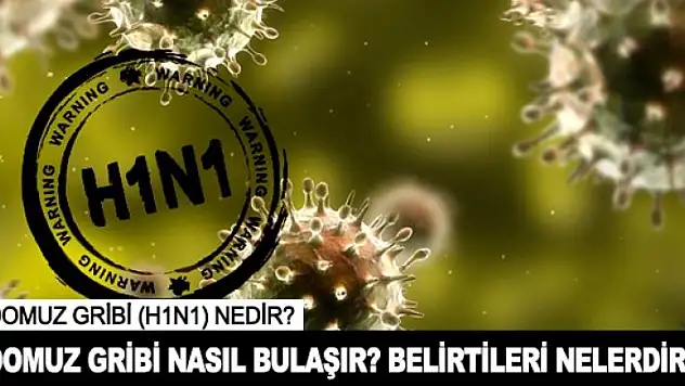 H1N1 Domuz Gribi Nedenleri, Domuz gribinden nasıl korunuruz,Sağlık haberleri
