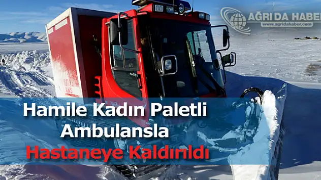 Ağrı'da Rahatsızlanan Hamile Kadın Paletli Ambulansla Hastaneye Kaldırıldı