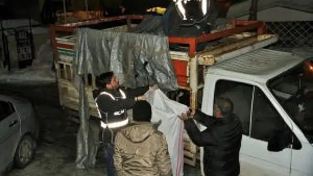 Hayvan Yüklü Kamyonette Sigara Kaçakçılığı
