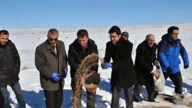 Arpaçay'da Kuşlar İçin Doğaya Yem Bırakıldı