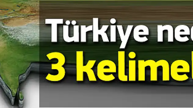 Türkiye itaatkarlık rolünü aştığı için hedef