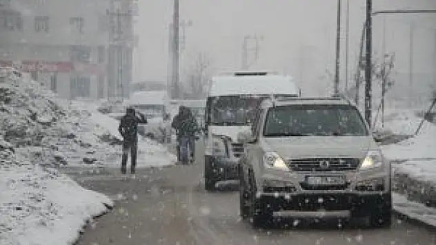 Yüksekova ilçesinde etkili olan kar yağışı hayatı olumsuz etkiliyor