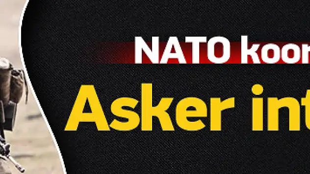 Ve NATO devreye girdi!