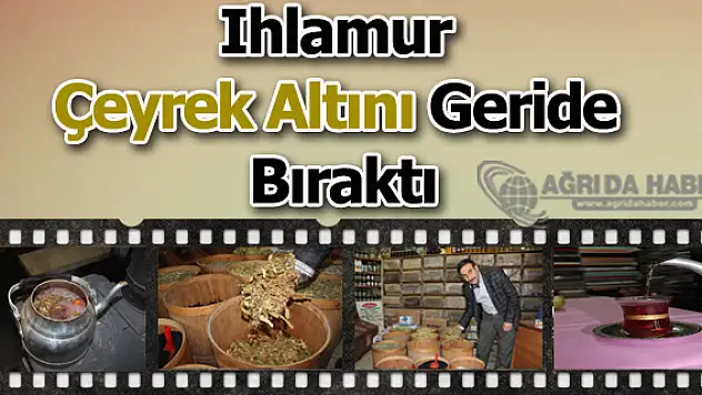 Ihlamur Çeyrek Altını Geride Bıraktı