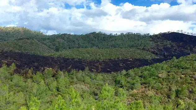 Marmaris'te orman yangını sağnak yağmurla söndü