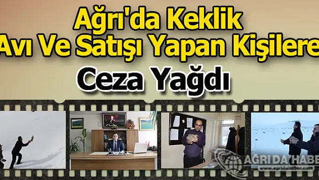 Ağrı'da Kaçak Keklik Avı Ve Satışı Yapan Kişilere Ceza Yağdı
