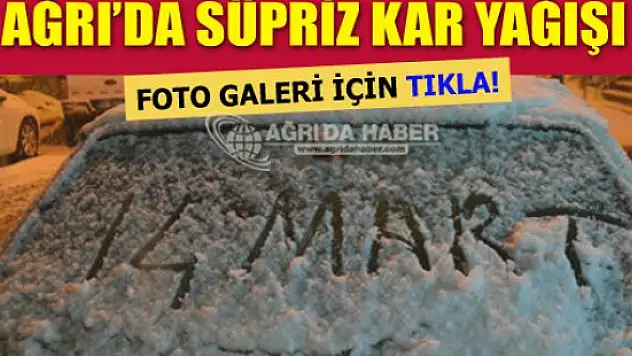 Ağrı'da Kar Yağışı Foto Galeri