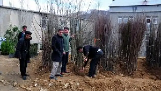 Bitlis Hizan'da Fidan Satışları Başladı