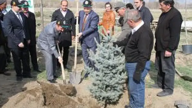 Erzincan'da Dünya Ormancılık Gününde Fidan Dikildi