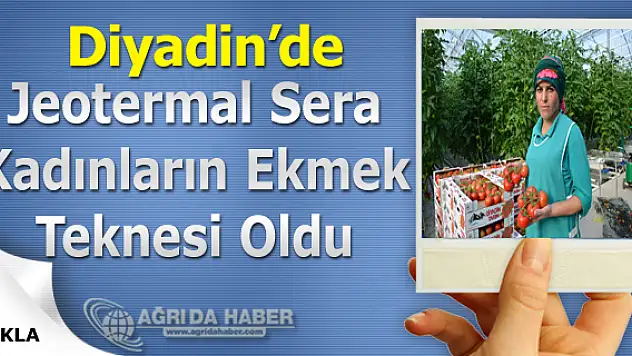 Diyadin'de Jeotermal Sera Kadınların Ekmek Teknesi Oldu