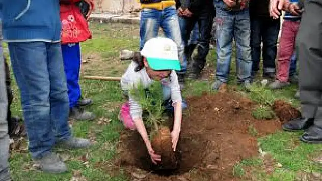 Bitlis Hizan Orman Şefliği Fidan Dağıttı