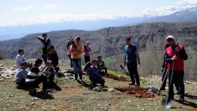 Hizan'da Fidan Dikimi