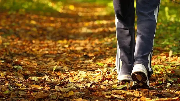 Günde kaç dakika yürüyüş yapılmalı?
