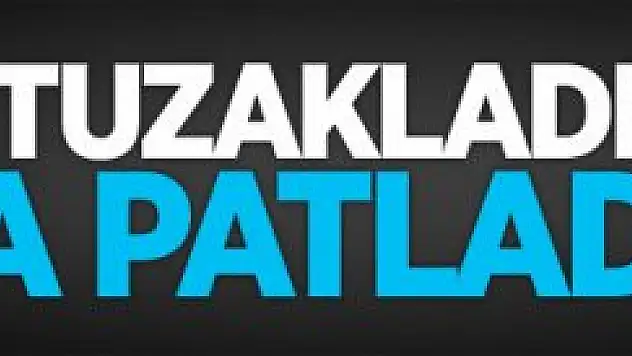 PKK'nın tuzakladığı bomba patladı