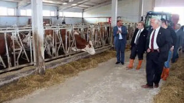 Kaymakam Karaman, Süt Tesislerinde İncelemelerde Bulundu