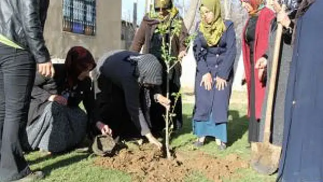 Van'da, Yeni Doğan Kız Çocukları İçin Fidan Dikildi